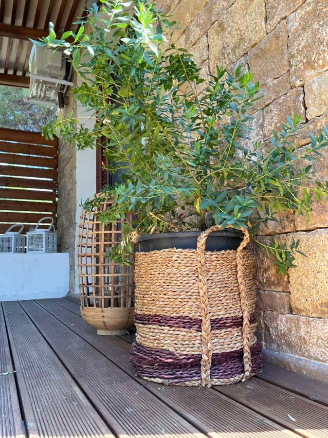 Vila Maistros Kalivaki Vourvourou Exteriér fotografie